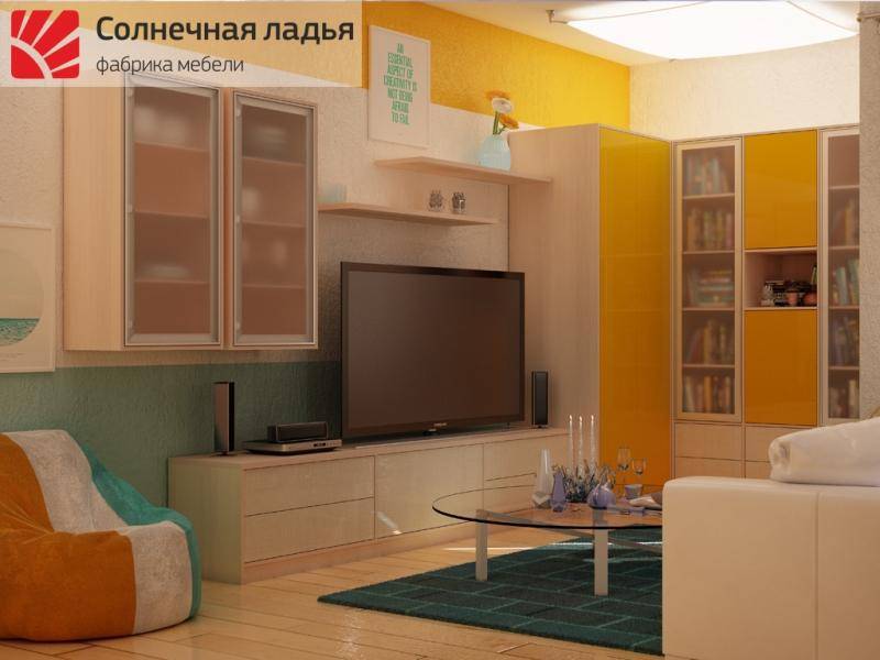 шкаф - купе для гостиной 15 в Нижнем Тагиле