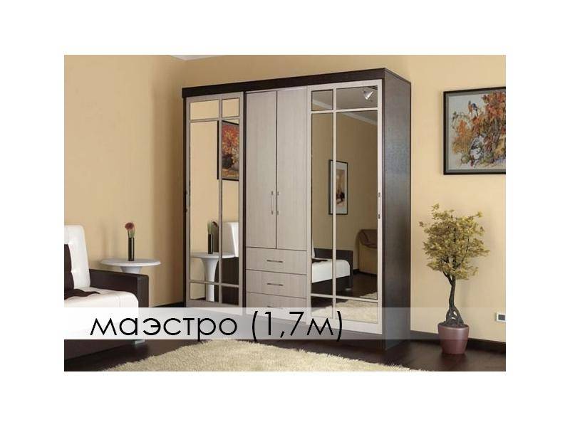шкаф-купе маэстро в Нижнем Тагиле
