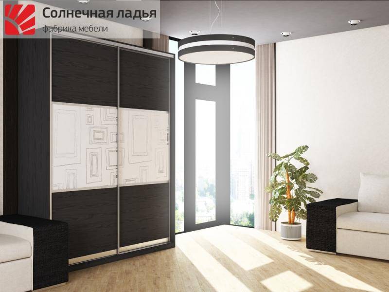 шкаф - купе для гостиной 4 в Нижнем Тагиле