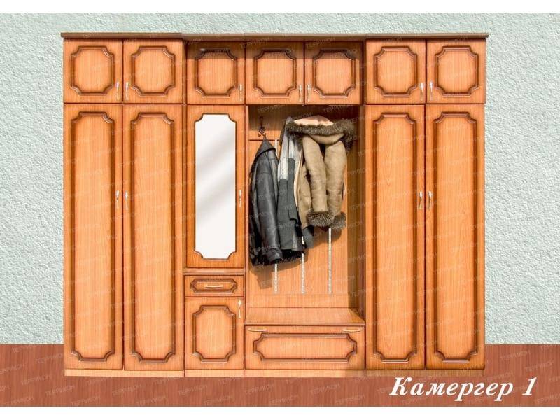 прихожая камергер 1 в Нижнем Тагиле