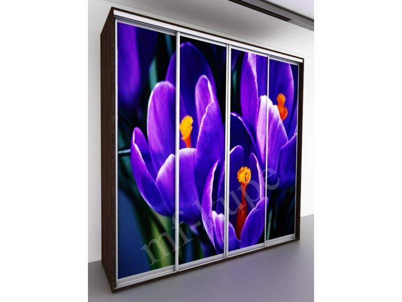 шкаф-купе бергамо violet 4 в Нижнем Тагиле