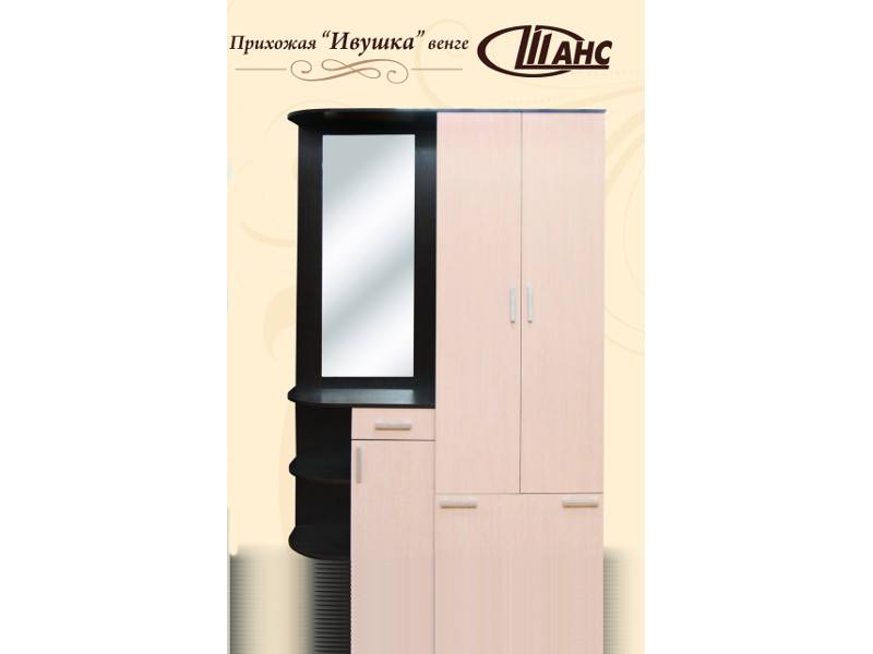 прихожая ивушка в Нижнем Тагиле