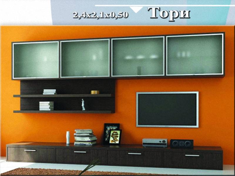 стенка «тори» в Нижнем Тагиле