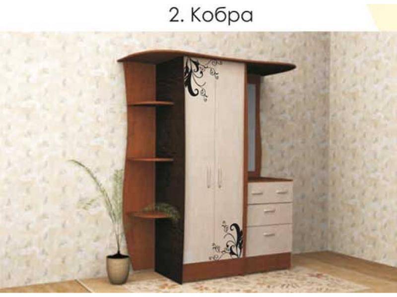 прихожая кобра в Нижнем Тагиле