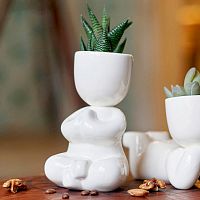 набор для выращивания eco йог в Нижнем Тагиле