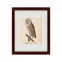 картина: one owl, 1560 в Нижнем Тагиле