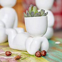 набор для выращивания eco мечтатель в Нижнем Тагиле