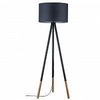торшер paulmann rurik 79633 в Нижнем Тагиле