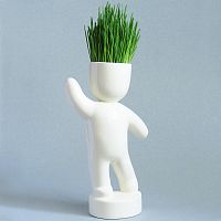 набор для выращивания eco победитель в Нижнем Тагиле