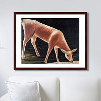 картина: roe deer drinking from a stream, 1901г. в Нижнем Тагиле