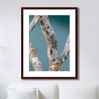 картина: trees on the galapagos islands, ecuador no3 в Нижнем Тагиле