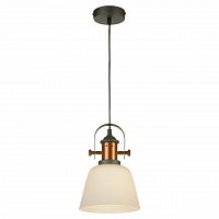 подвесной светильник lussole loft grlsp-9846 в Нижнем Тагиле