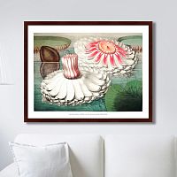 картина: water lily during bloom, 1870г. в Нижнем Тагиле