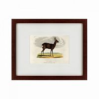 картина: a roebuck, 1830 в Нижнем Тагиле