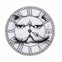тарелка кот на циферблате в Нижнем Тагиле