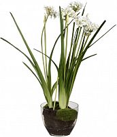 декор allium в Нижнем Тагиле