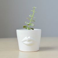 набор для выращивания eco мини-кашпо «губы» в Нижнем Тагиле