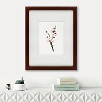 картина: apricot flower (prunus armeniaca), 1832 в Нижнем Тагиле