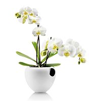 горшок для орхидеи orchid pot белый в Нижнем Тагиле