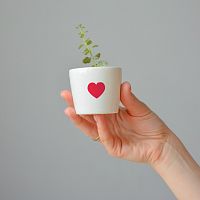 набор для выращивания eco мини-кашпо «сердце» в Нижнем Тагиле