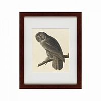 картина: great gray owl, 1834 в Нижнем Тагиле