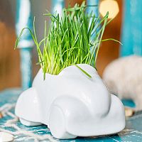 набор для выращивания eco машина в Нижнем Тагиле