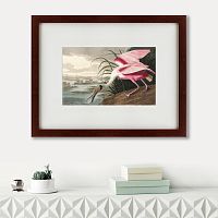 картина: roseate spoonbill, 1827 в Нижнем Тагиле