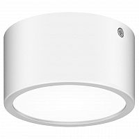 уличный светодиодный светильник lightstar zolla 380163 в Нижнем Тагиле