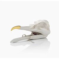 шкатулка для украшений bird skull (белый) в Нижнем Тагиле