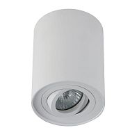 потолочный светильник crystal lux clt 410c wh в Нижнем Тагиле