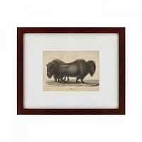 картина: bison, 1828 в Нижнем Тагиле
