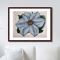 картина: exotic plants of the world №13, 1815г. в Нижнем Тагиле