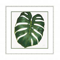 постер monstera зеленый в Нижнем Тагиле
