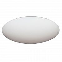 потолочный светодиодный светильник omnilux oml-43007-100 в Нижнем Тагиле
