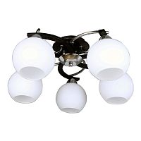 потолочная люстра omnilux caldiero oml-25407-05 в Нижнем Тагиле