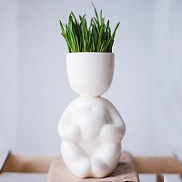 набор для выращивания eco романтик в Нижнем Тагиле