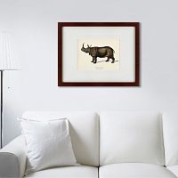 картина: rhinoceros ancienne gravure, 1849 в Нижнем Тагиле