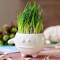 набор для выращивания eco кру в Нижнем Тагиле
