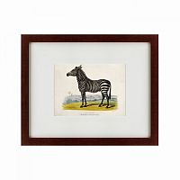 картина: a zebra, 1830 в Нижнем Тагиле