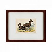 картина: two nilgais, 1830 в Нижнем Тагиле