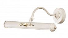 подсветка для картин st luce illuminazione sl574.501.02 в Нижнем Тагиле