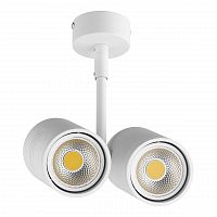 потолочный светильник lightstar rullo 214446 в Нижнем Тагиле