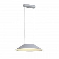 подвесной светодиодный светильник st luce pitto sl427.513.01 в Нижнем Тагиле