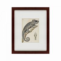 картина: chameleon, 1706 в Нижнем Тагиле