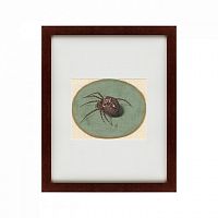 картина: spider, 1690 в Нижнем Тагиле