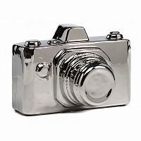 предмет декора camera серебряная в Нижнем Тагиле