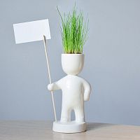 набор для выращивания eco знаменосец в Нижнем Тагиле