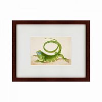картина: green iguana, 1701 в Нижнем Тагиле
