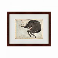 картина: signs of zodiac taurus, 1825 в Нижнем Тагиле