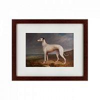 картина: portrait of a greyhound, 1744 в Нижнем Тагиле